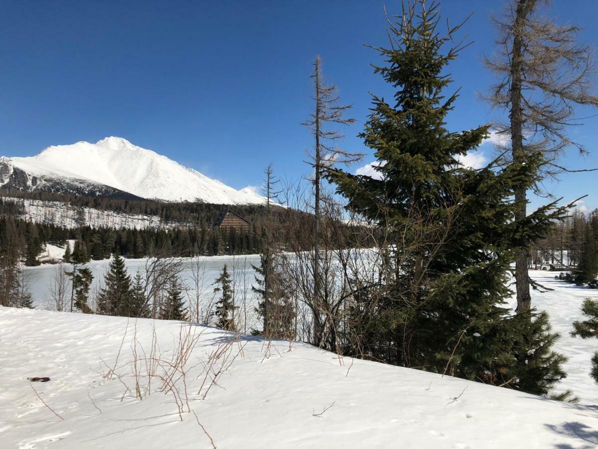 Vila Horec, Vysne Hagy Vysoké Tatry 외부 사진